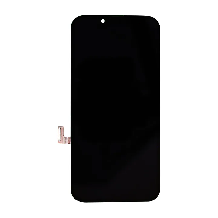 OLED & Frame Assembly for iPhone 13 – FOG