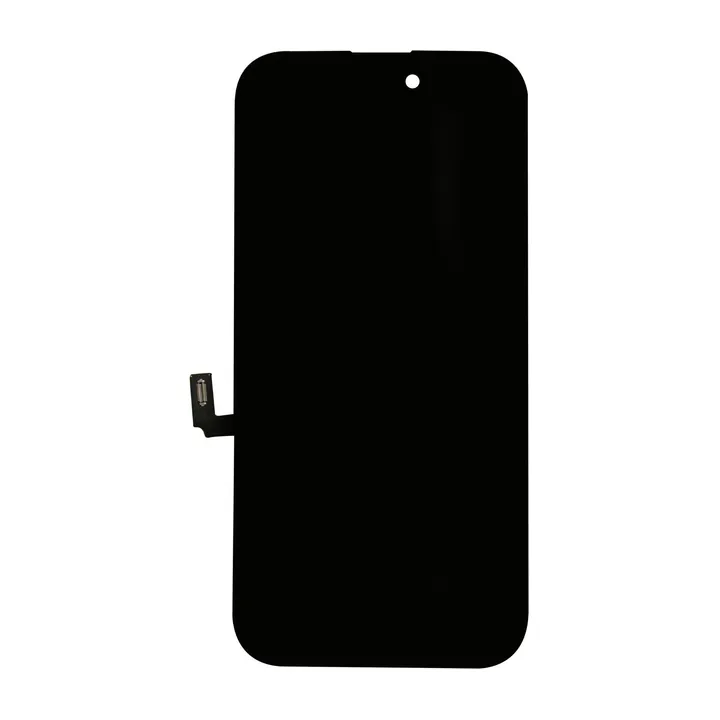 OLED & Frame Assembly for iPhone 16 – FOG