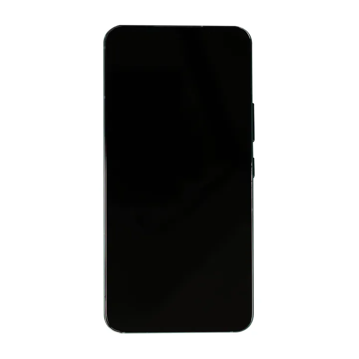 OLED & Frame Assembly for Galaxy S22 (Green)