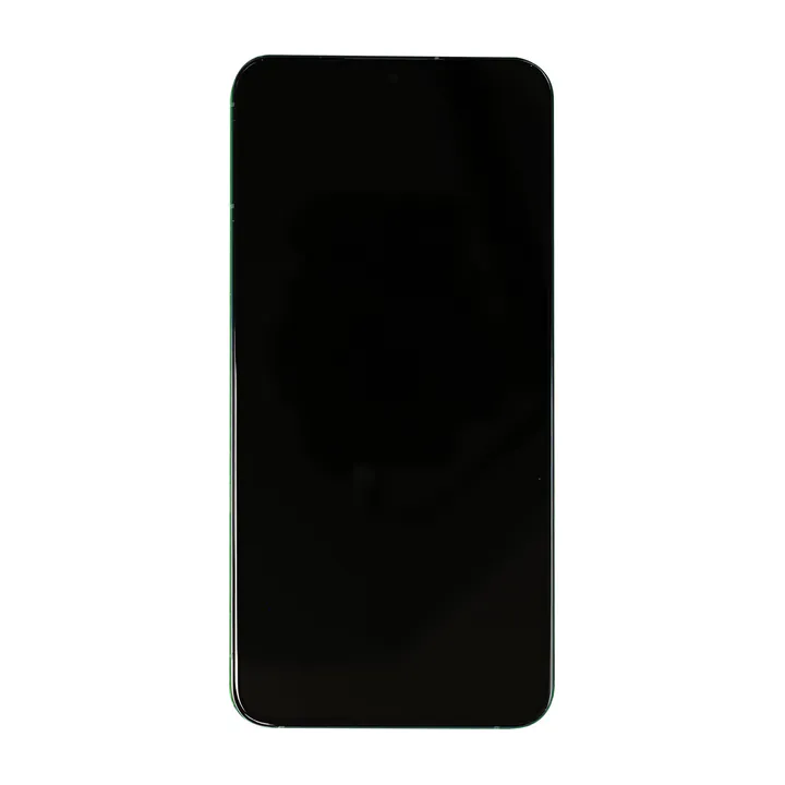 OLED & Frame Assembly for Galaxy S22+ (Green) – OEM Service Pack