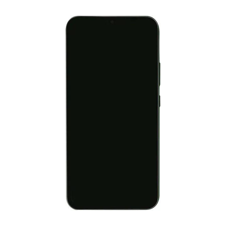 OLED & Frame Assembly for Galaxy A34 (Graphite)
