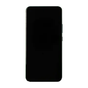 OLED & Frame Assembly for Galaxy S22+ (Green) (Aftermarket)