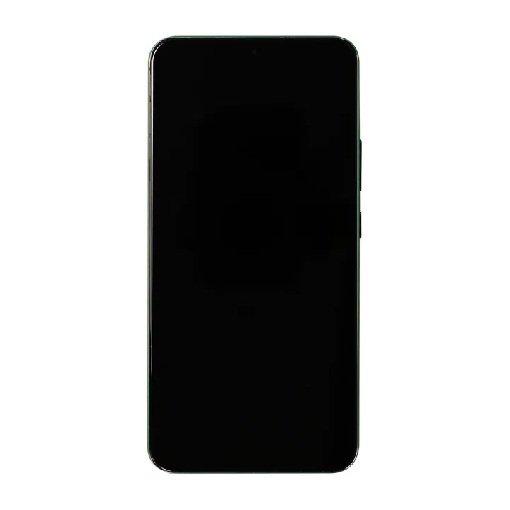 OLED & Frame Assembly for Galaxy S22+ (Green) (Aftermarket)