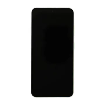 OLED & Frame Assembly for Galaxy S24 (Marble Gray)