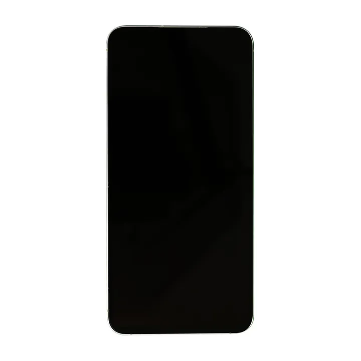 OLED & Frame Assembly for Galaxy S25+ (Silver Shadow) – Full-Size Aftermarket