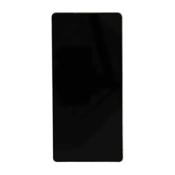 OLED & Frame Assembly for Galaxy S25 Ultra (Titanium Silverblue & Whitesilver) – Full-Size Aftermarket