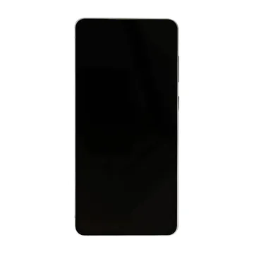 OLED & Frame Assembly for Galaxy S25 Edge (Titanium Silver) – Full-Size Aftermarket